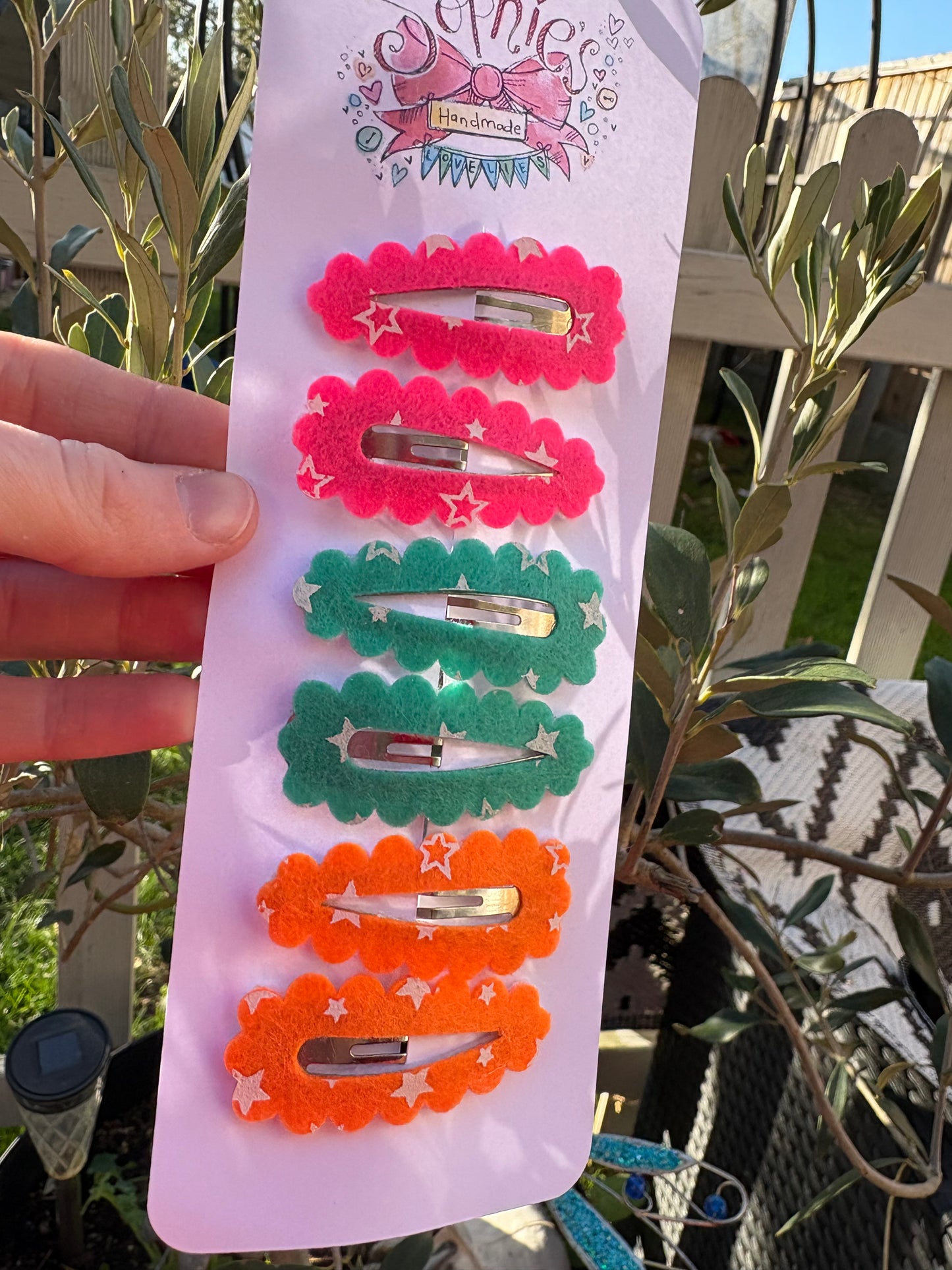 6 Pack of Snap Clips