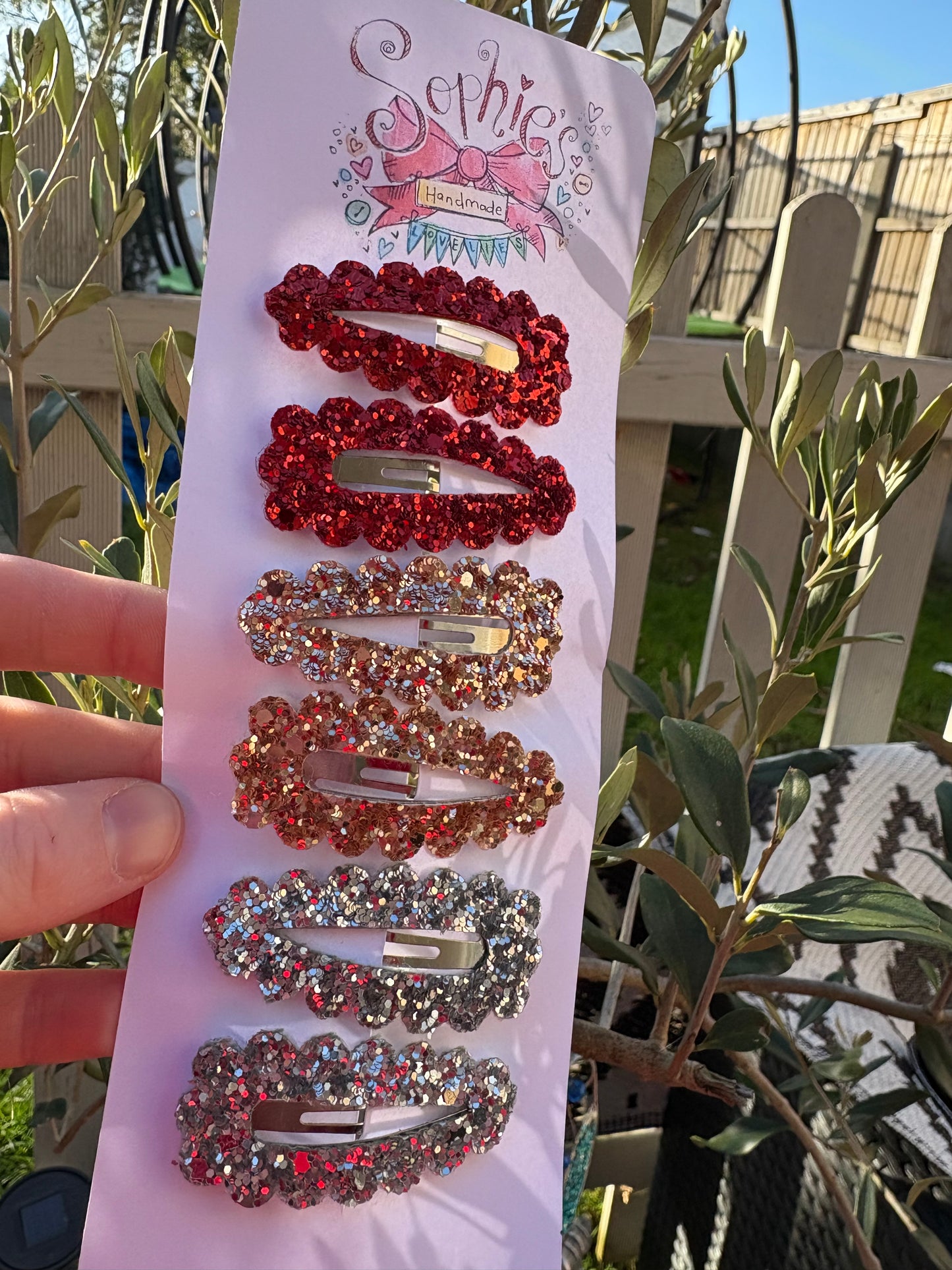 6 Pack of Snap Clips