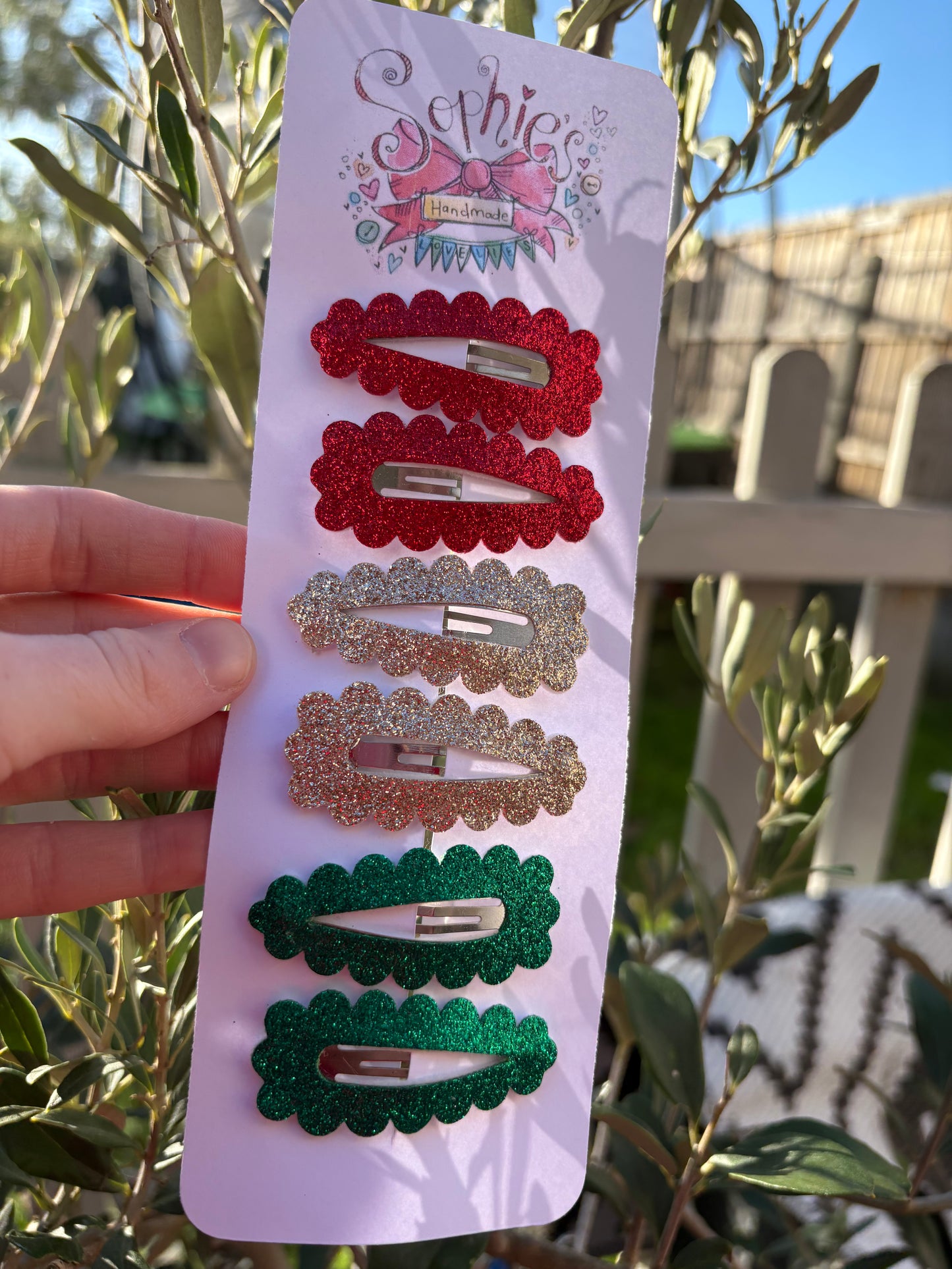 6 Pack of Snap Clips