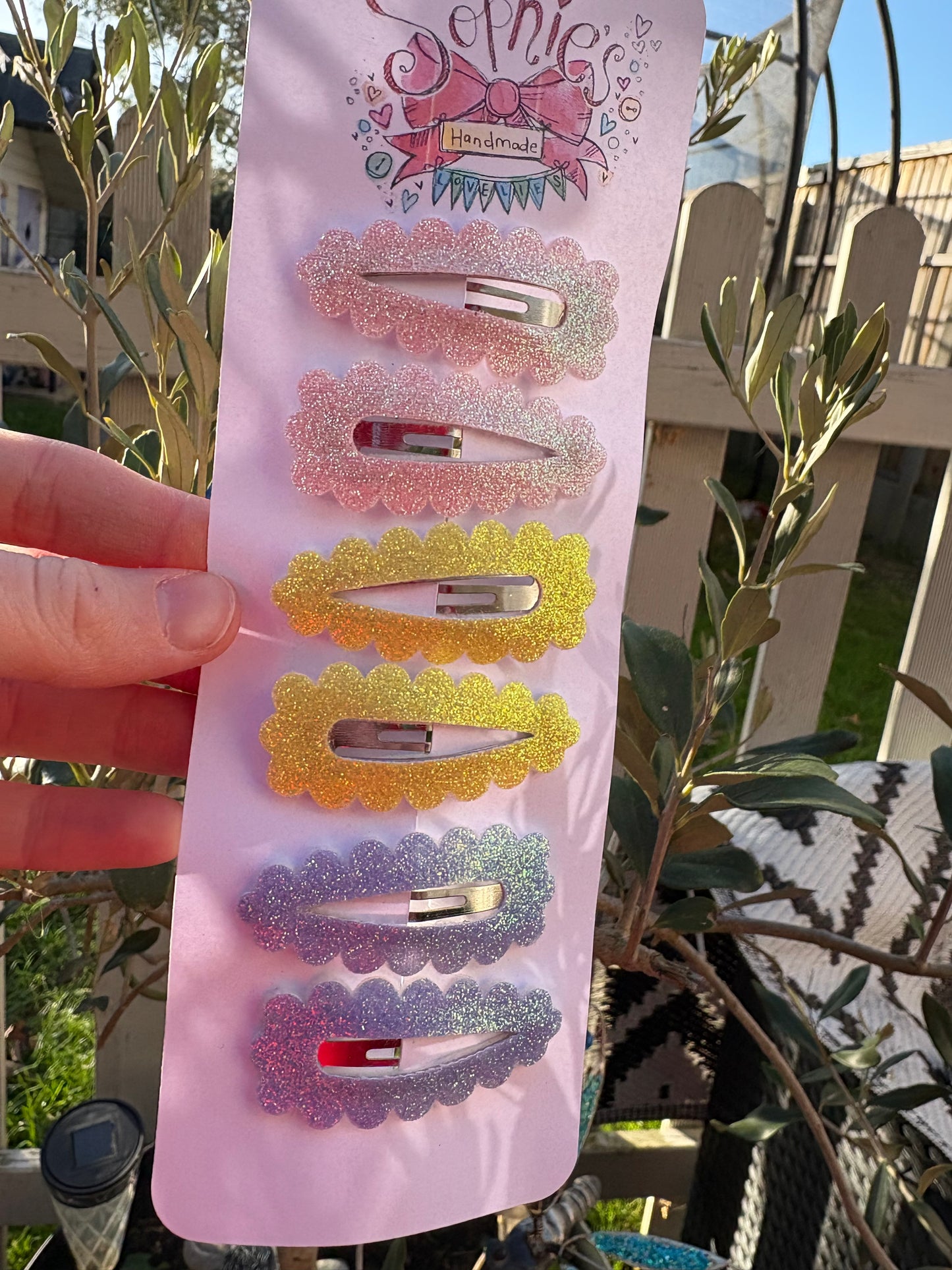 6 Pack of Snap Clips